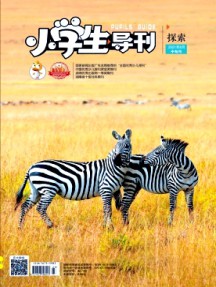 小学生导刊·中年级杂志